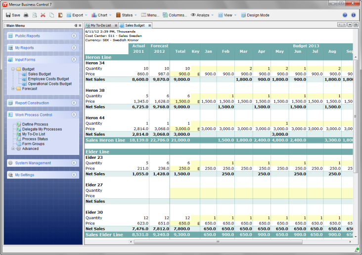 Simple Budgeting & Forecasting with Mercur Solutions